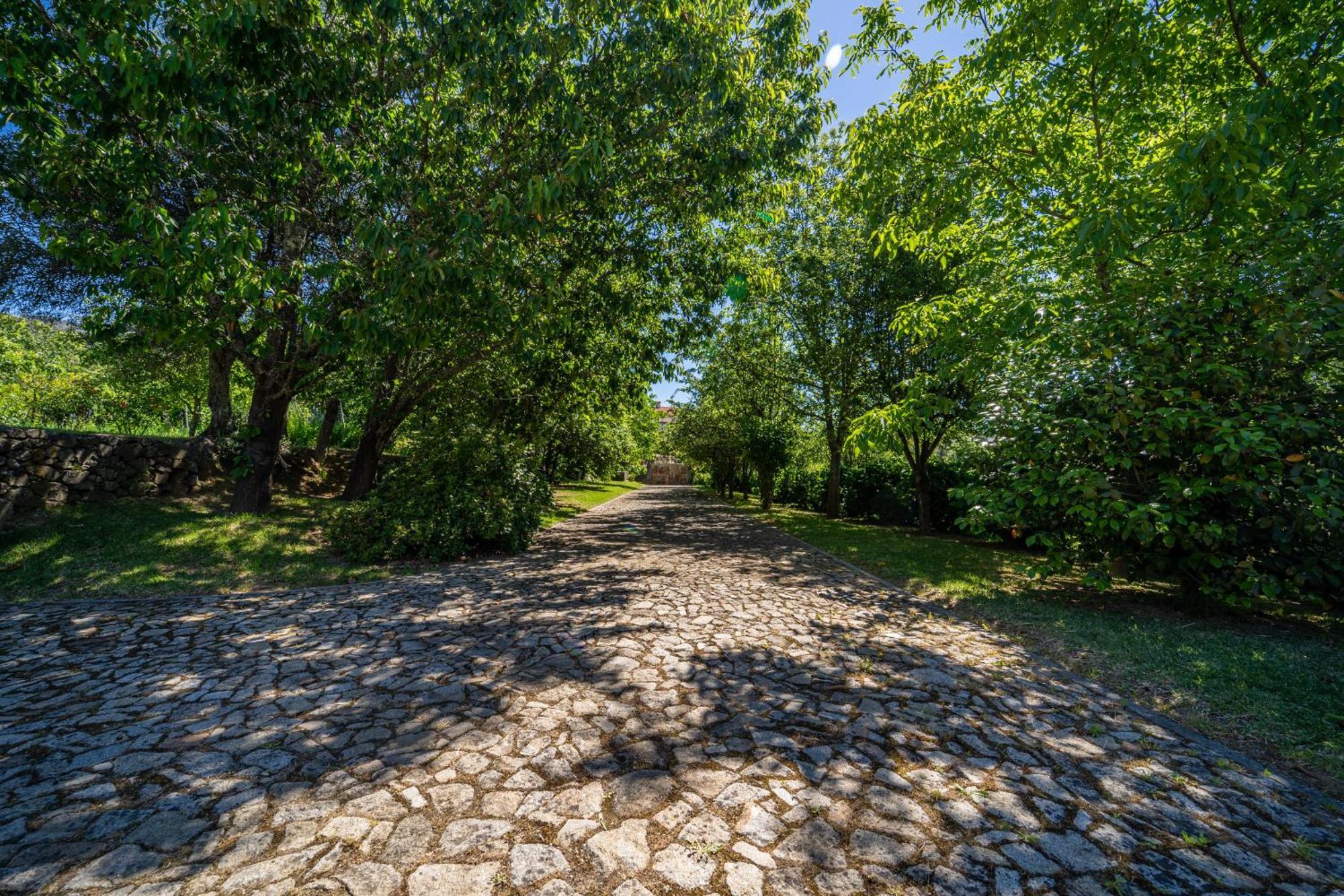 Eido Oliveira - Casa De Campo - Ponte De Lima Anais Exteriör bild