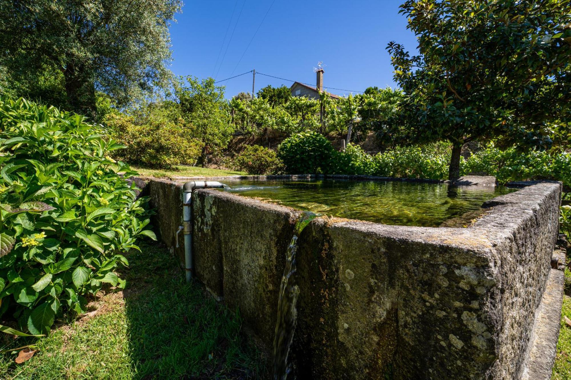 Eido Oliveira - Casa De Campo - Ponte De Lima Anais Exteriör bild